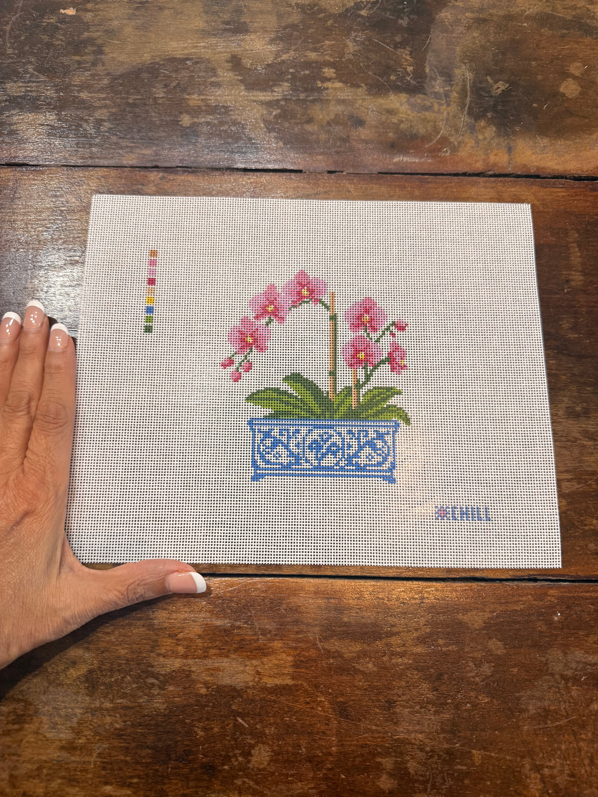 Orchid in Blue & White Chinoiserie Pot Needlepoint Canvas | Floral DIY Needlepoint | Beginner Friendly | 5x7 on 8x10 Canvas