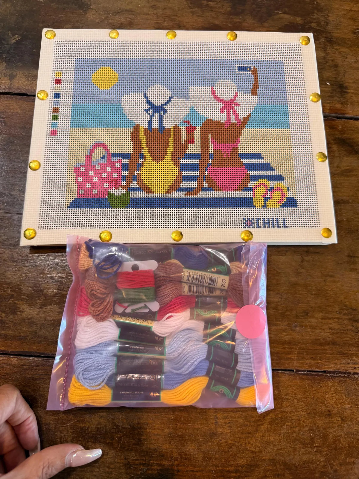 Beach Day Needlepoint Kit – Finished Piece – Needlepoint & Chill