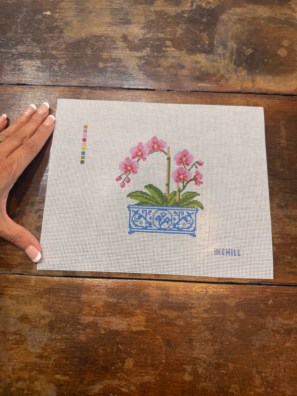 Orchid in Blue & White Chinoiserie Pot Needlepoint Canvas | Floral DIY Needlepoint | Beginner Friendly | 5x7 on 8x10 Canvas