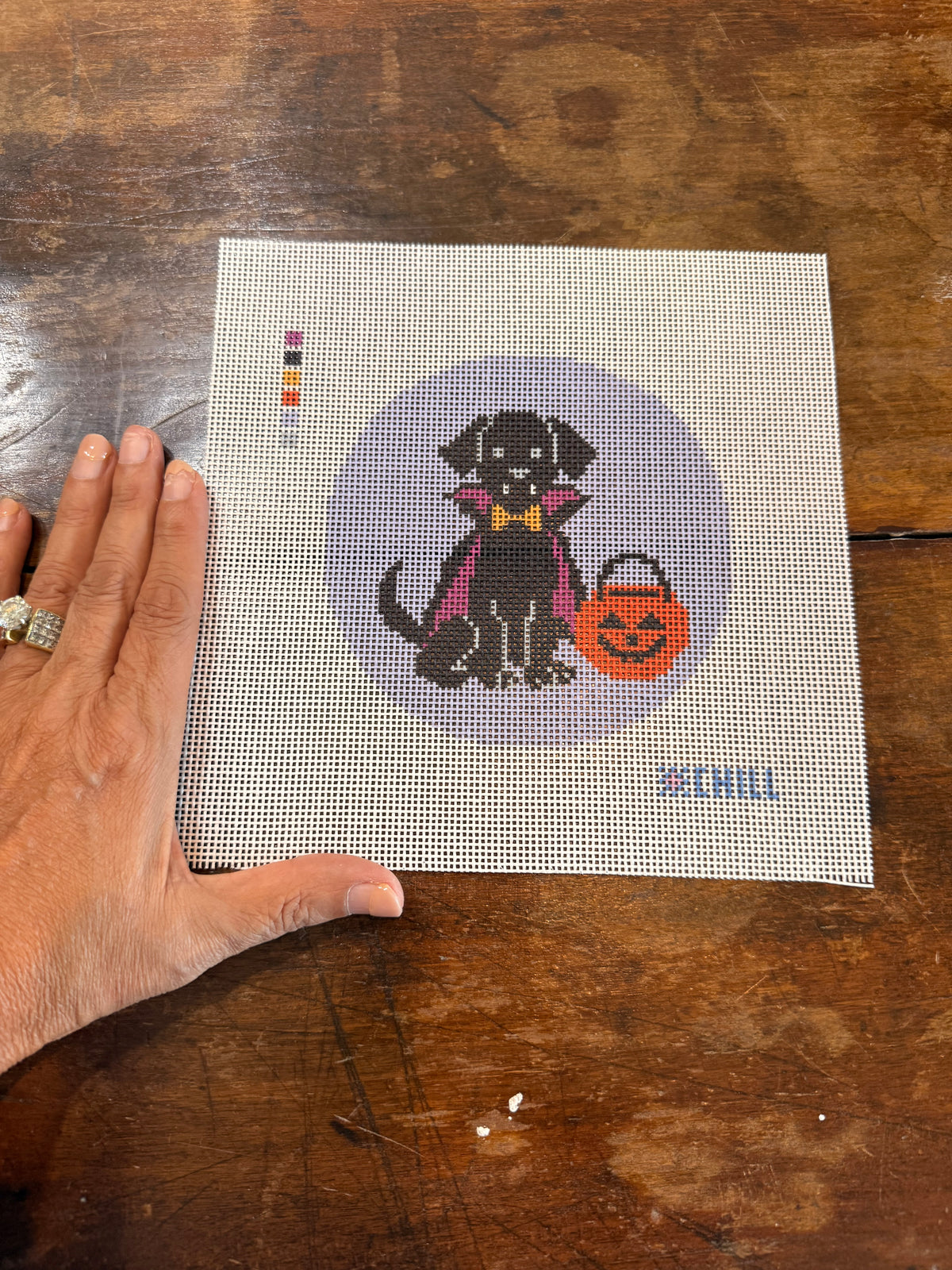 Halloween Needlepoint Canvas – Vampire Puppy Dog Black Lab Design
