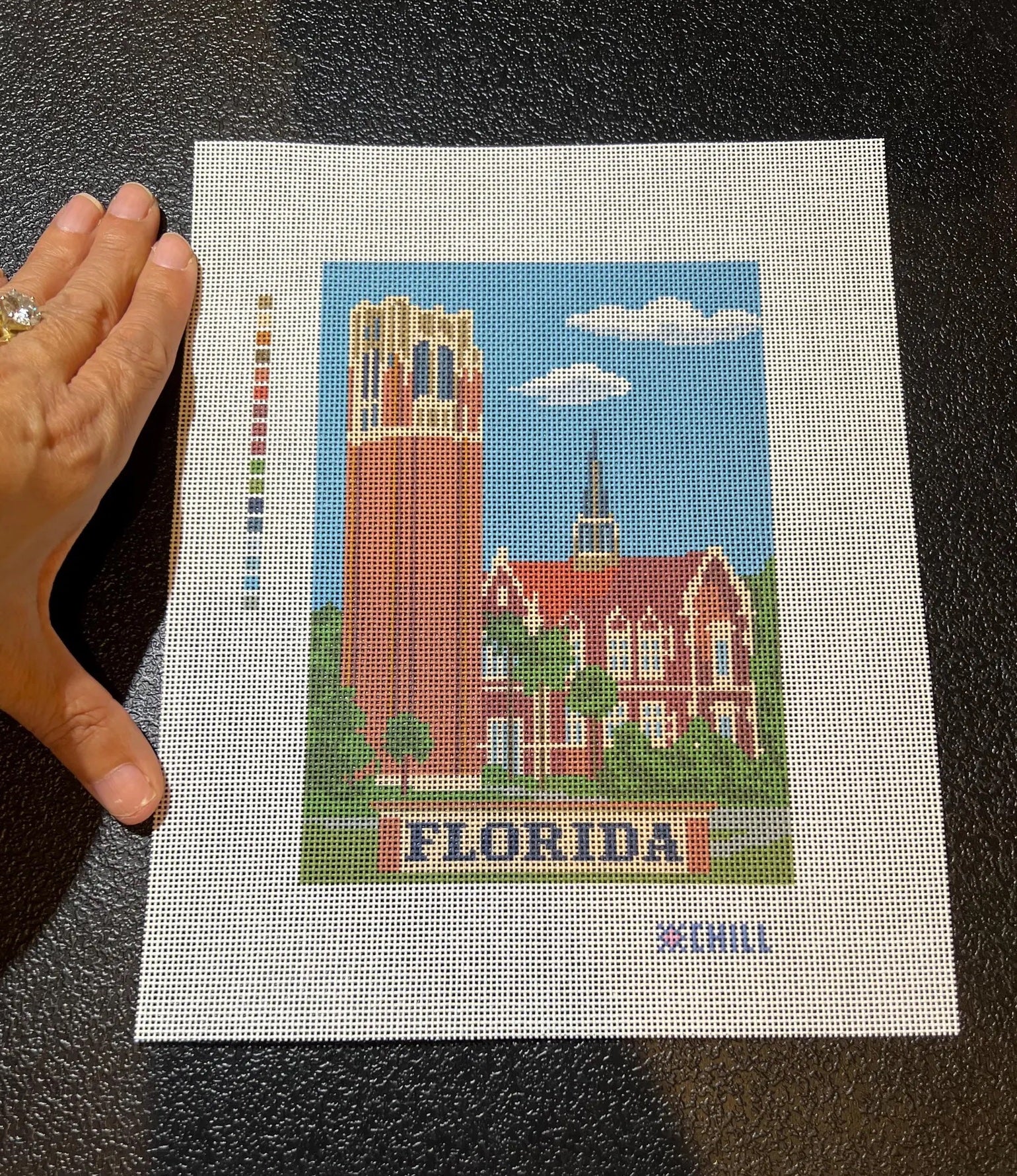 Gainesville Florida Needlepoint Canvas – Stitched Example – Needlepoint & Chill