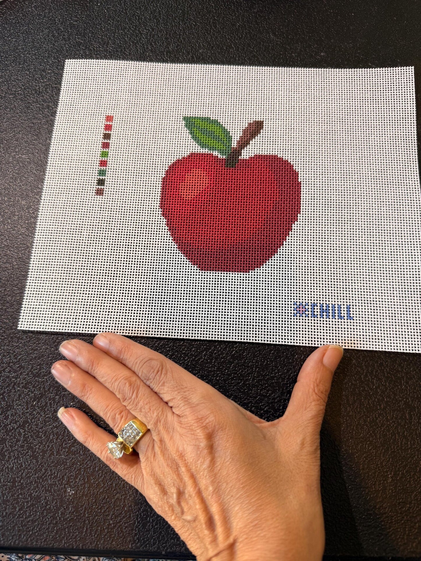 Classic Red Apple Needlepoint Canvas – Fruit Series, Kitchen Decor