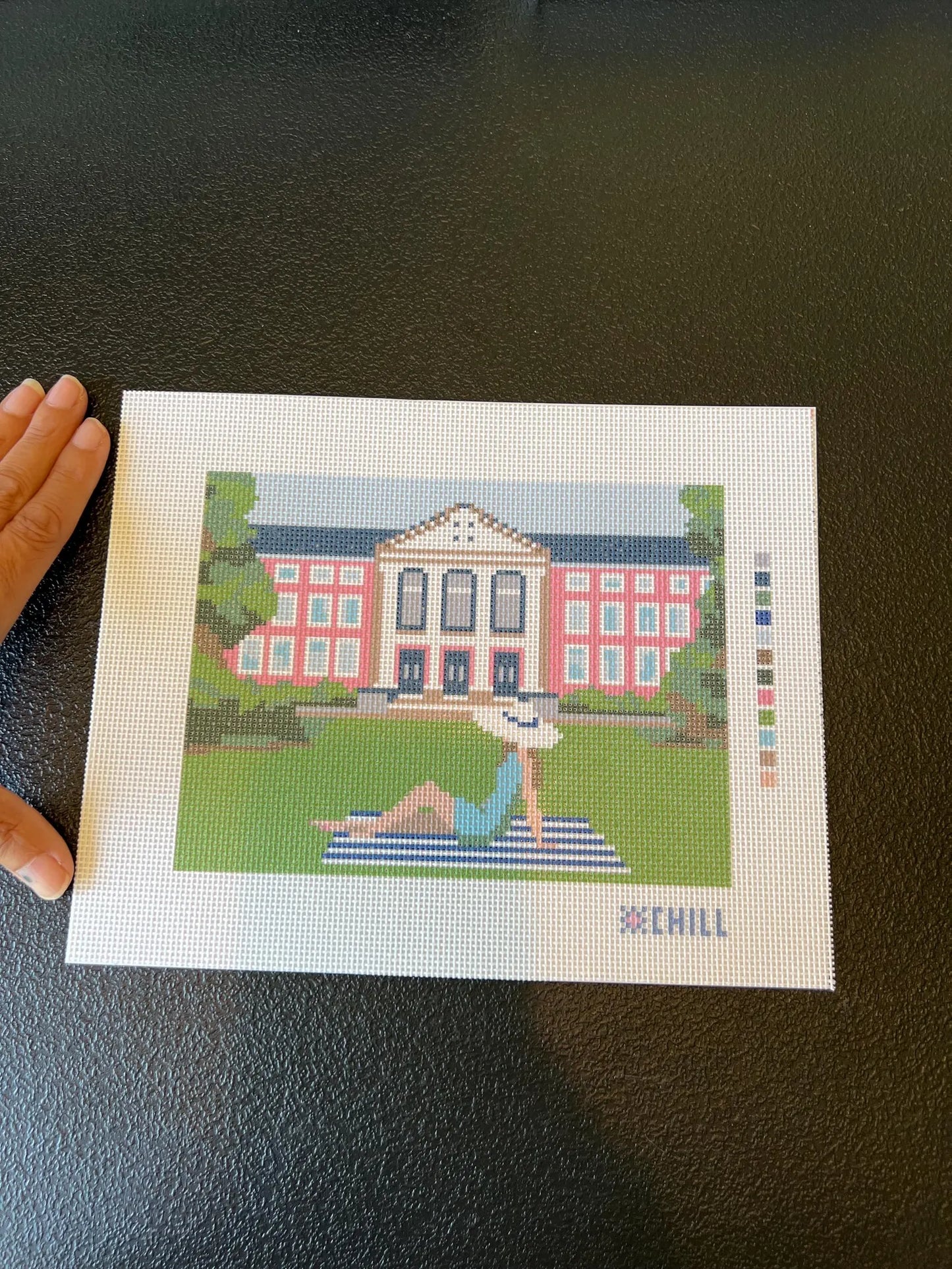 Sorority Row Needlepoint Canvas – Stitched Example – Needlepoint & Chill