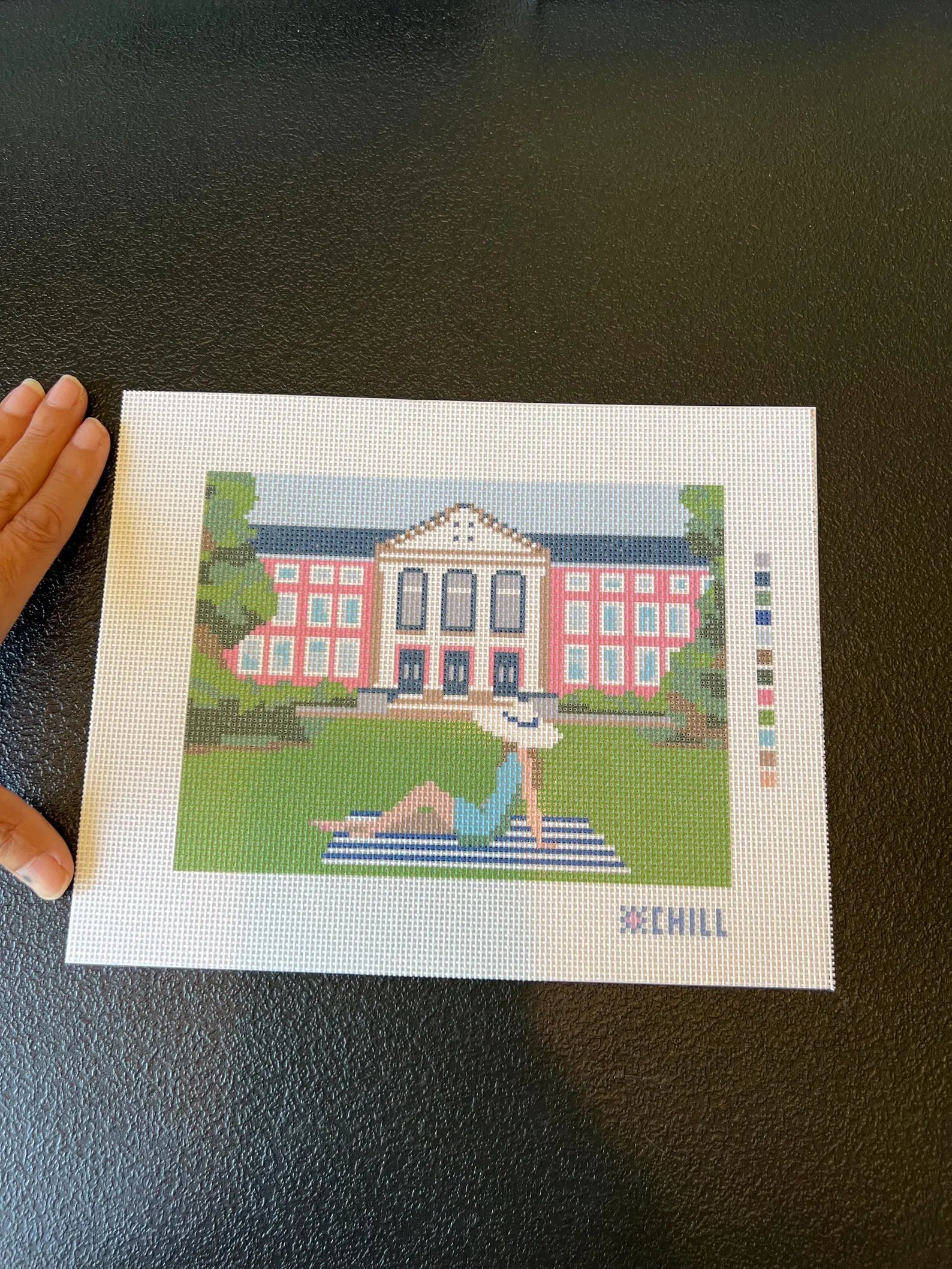 Sorority Row Needlepoint Canvas – Stitched Example – Needlepoint & Chill