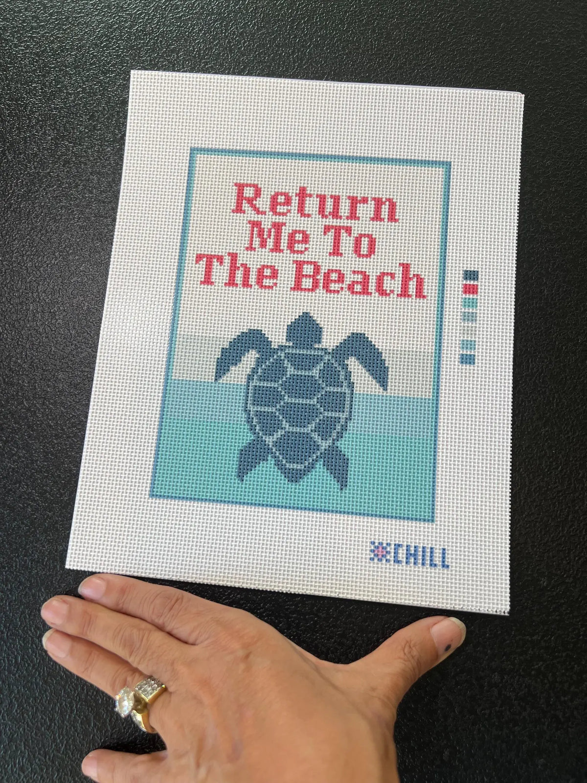 Turtle Return Me to the Beach Needlepoint Canvas – Full View – Needlepoint & Chill