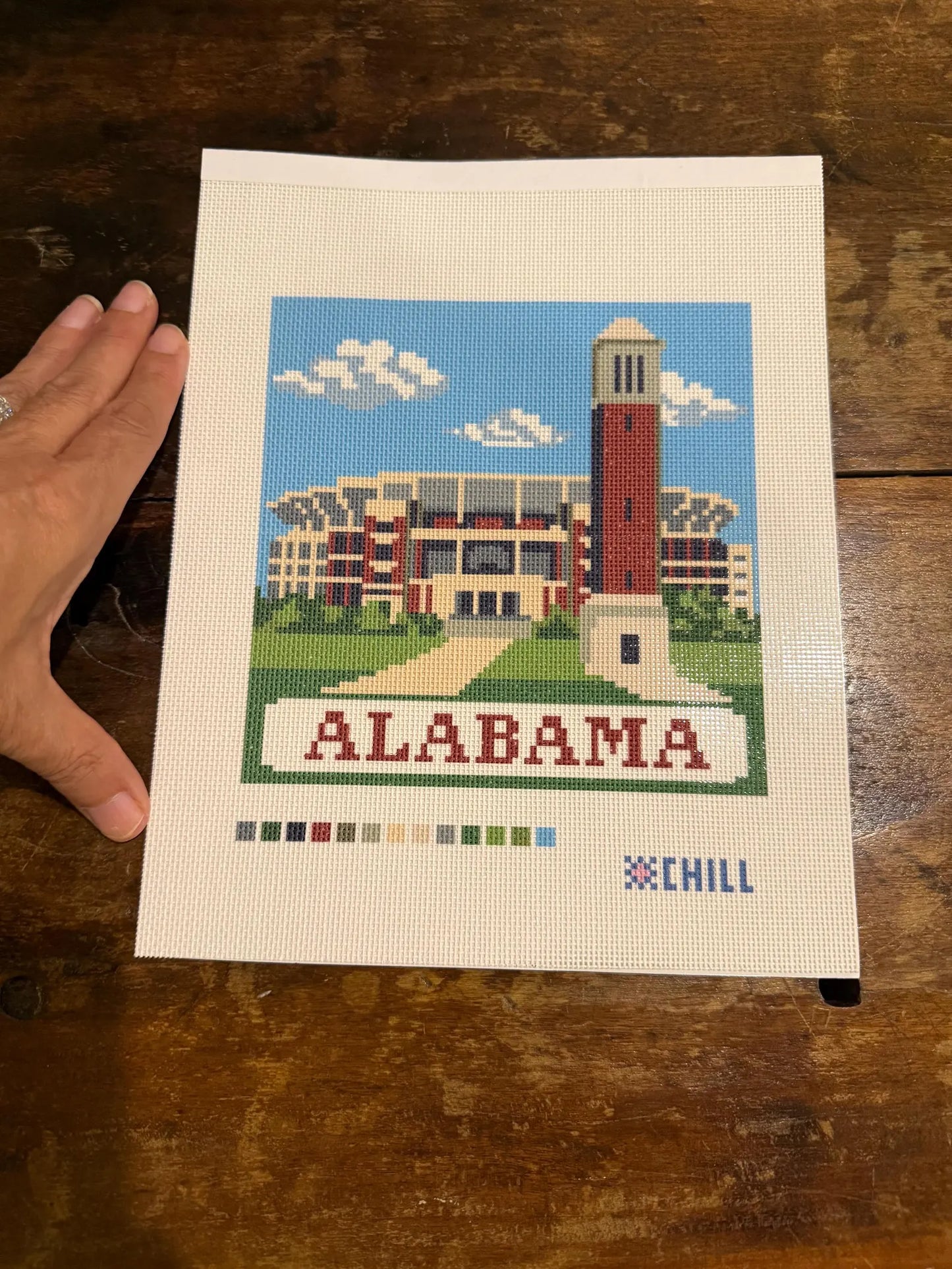 Denny Chimes Second Edition Needlepoint Canvas – Stitched Example – Needlepoint & Chill