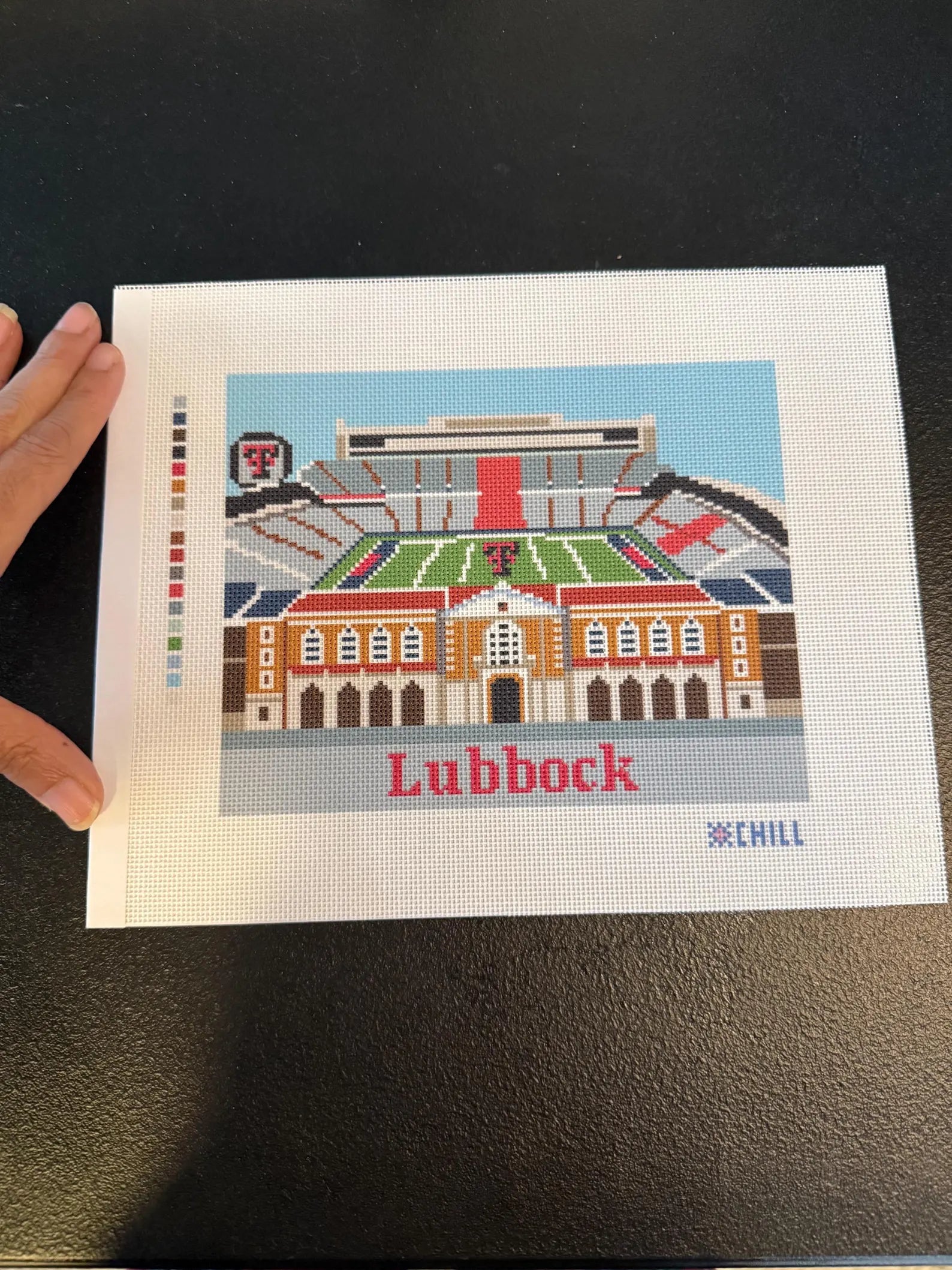 Lubbock Stadium Needlepoint Canvas – Stitched Example – Needlepoint & Chill