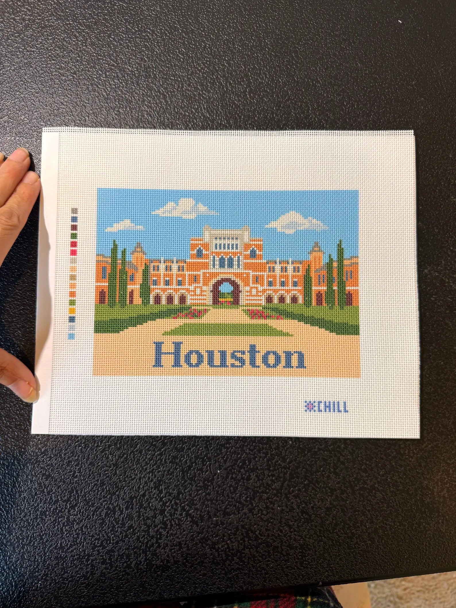 Houston Texas Campus Landmark Needlepoint Canvas – Stitched Example – Needlepoint & Chill