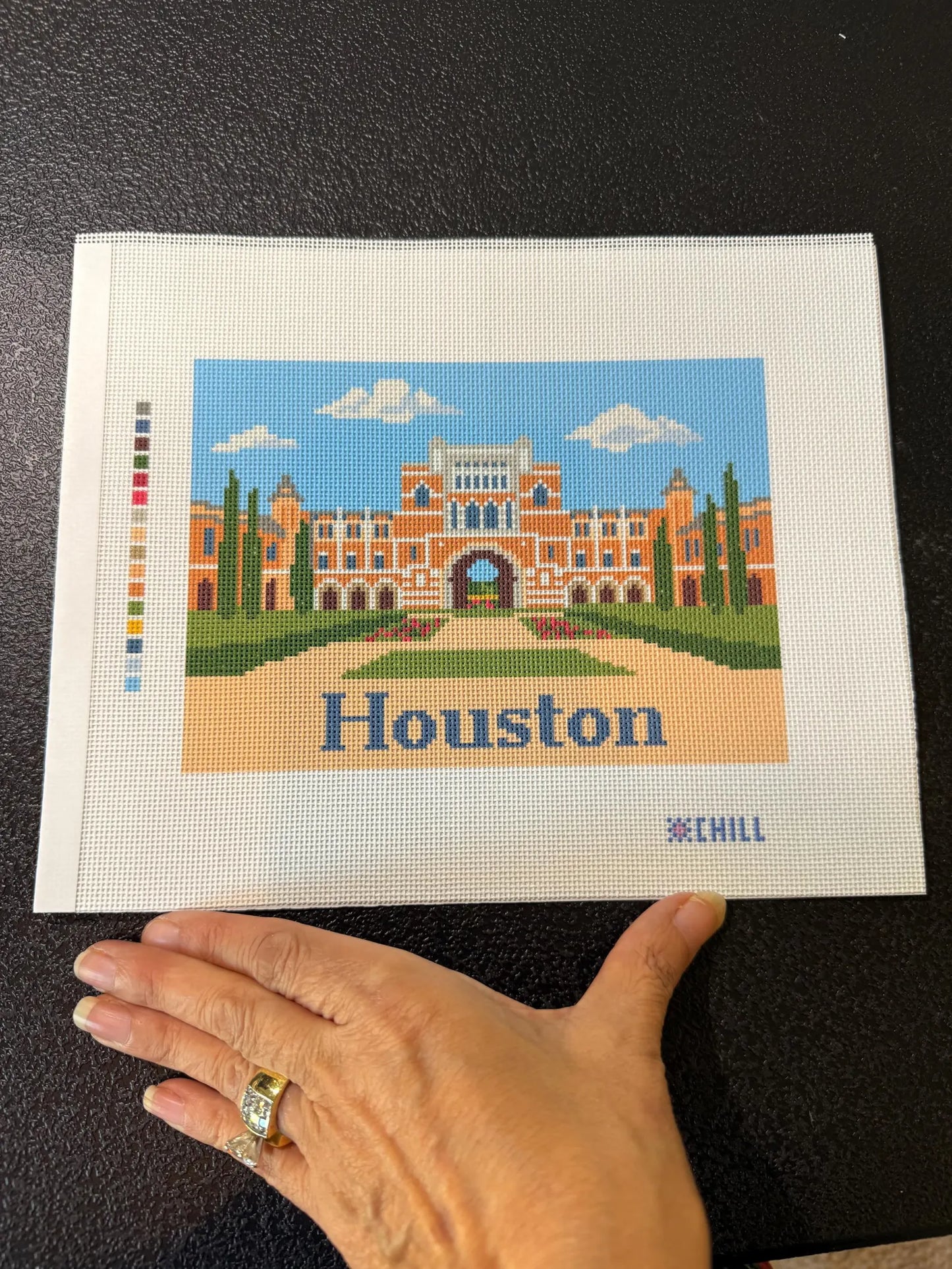 Houston Texas Campus Landmark Needlepoint Canvas – Full View – Needlepoint & Chill