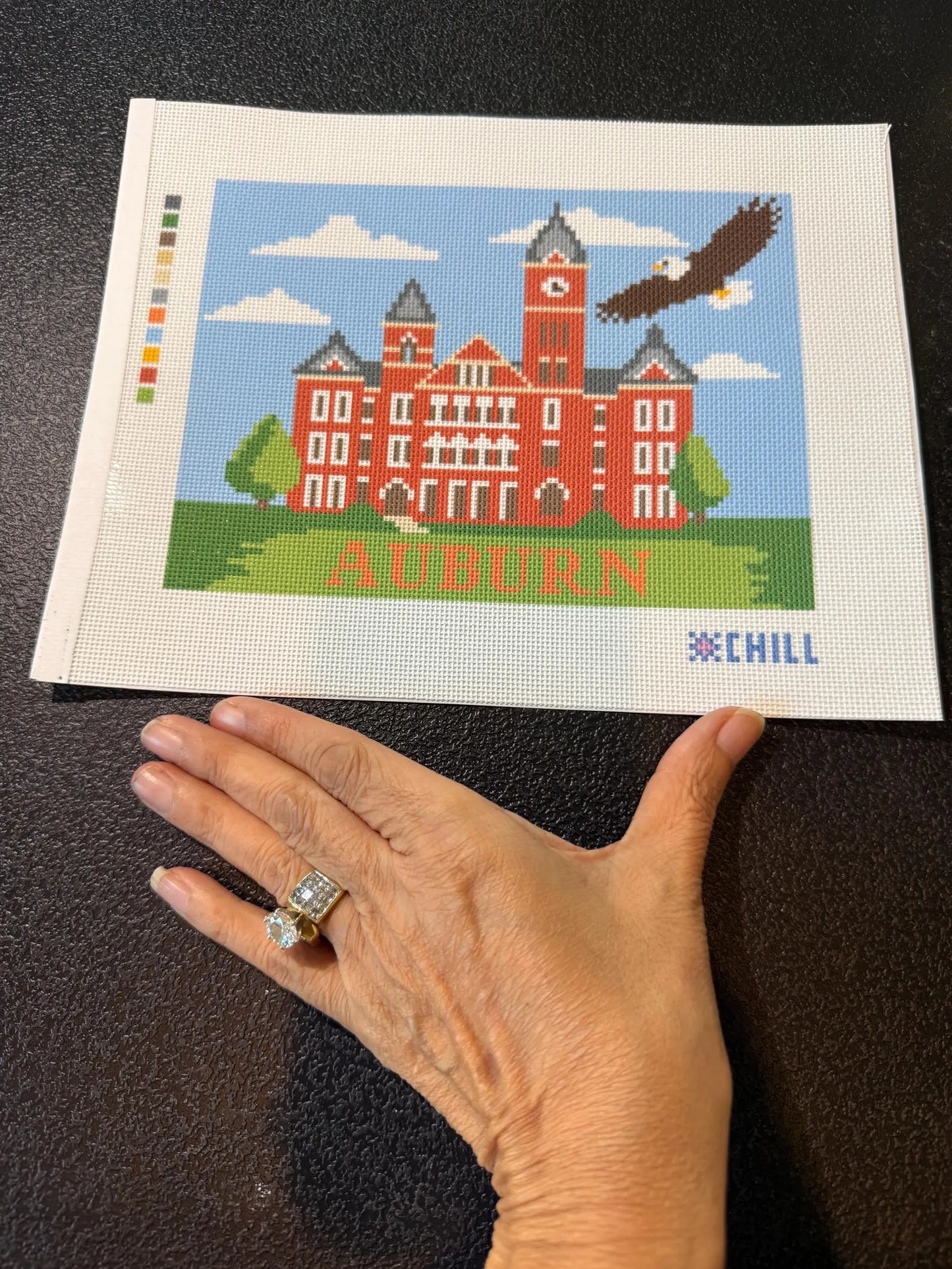 Auburn Eagle Needlepoint Canvas – Stitched Example – Needlepoint & Chill